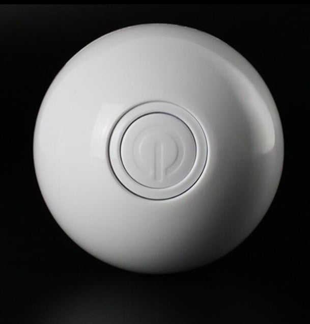 LED Electronic Rolling Pet Ball