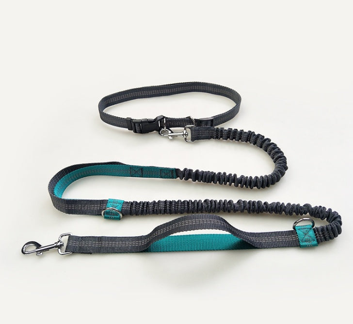 Hands-Free Dog Leash - Adjustable Waist Belt & Bungee Design