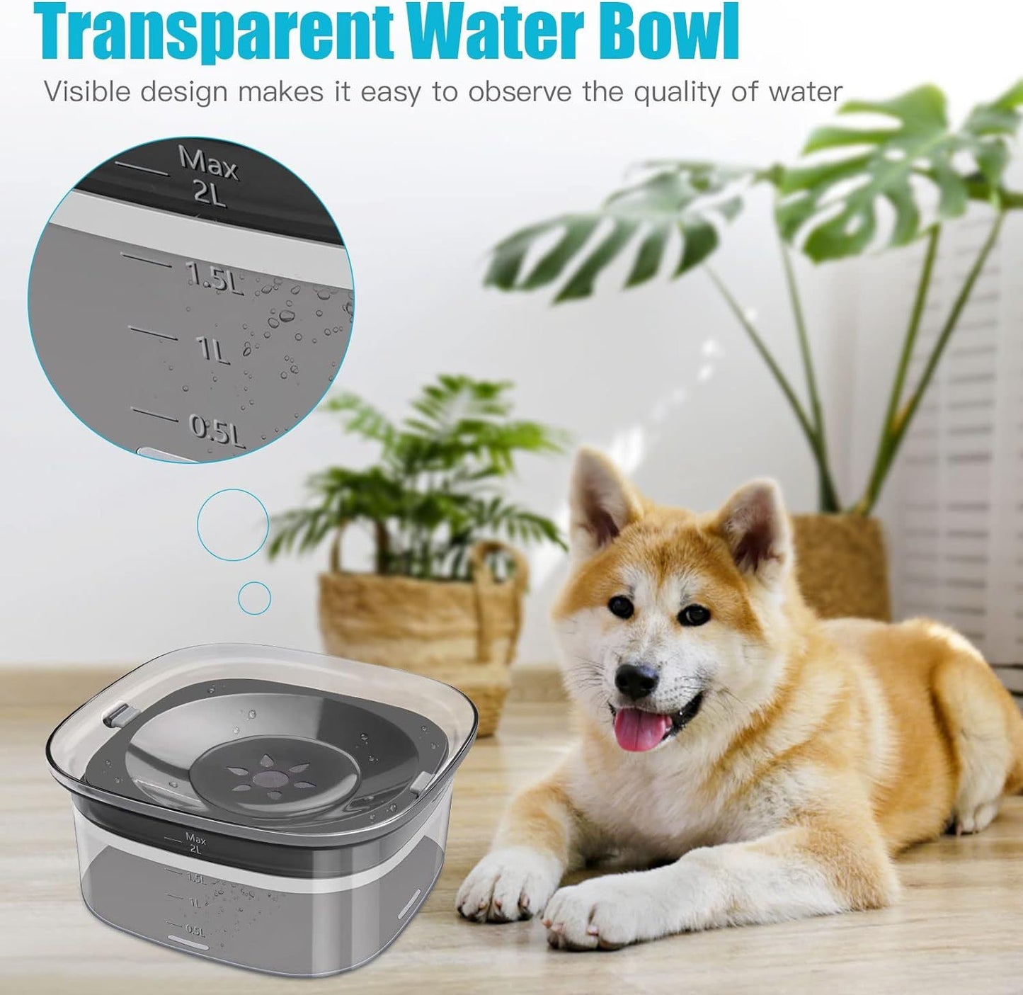 2L Pet Water Bowl - Clean Hydration For Your Pets