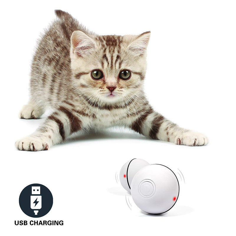 LED Electronic Rolling Pet Ball