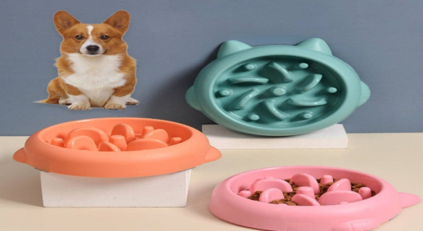 Anti-Choke Slow Feeder Pet Bowl