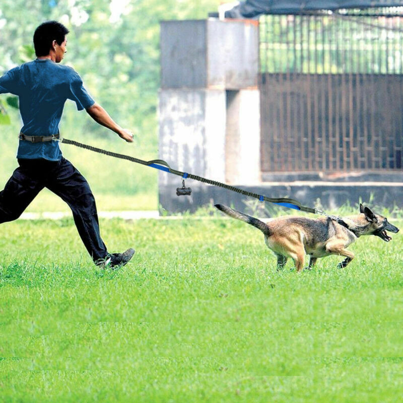 Hands-Free Dog Leash - Adjustable Waist Belt & Bungee Design