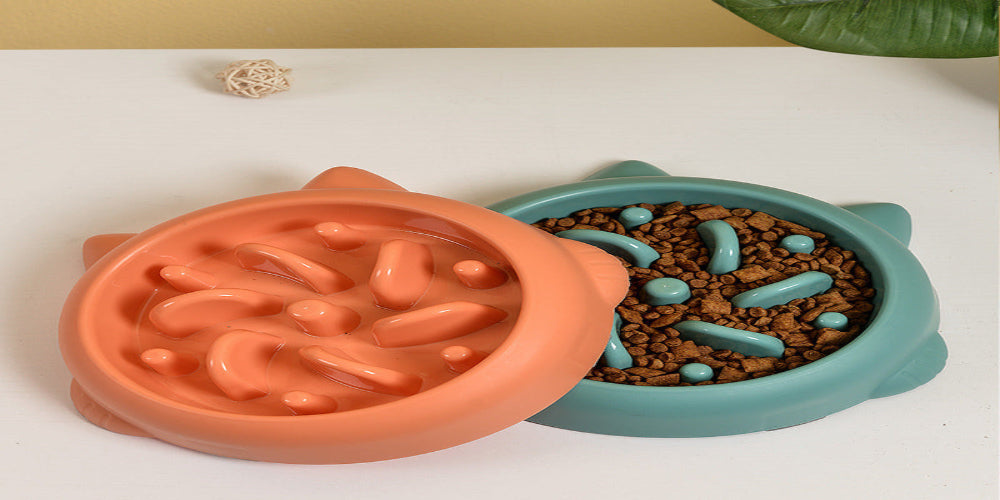 Anti-Choke Slow Feeder Pet Bowl
