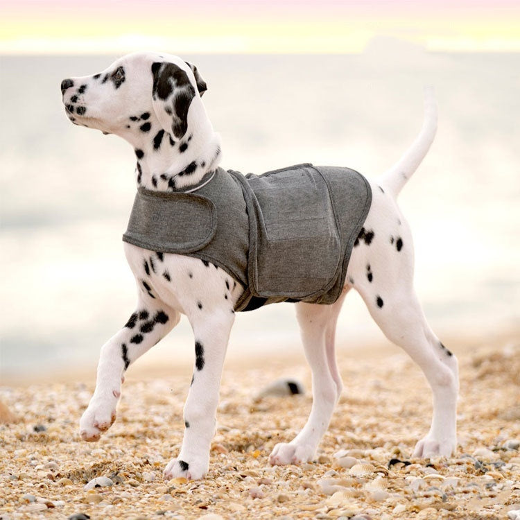 Pet Anxiety Vest