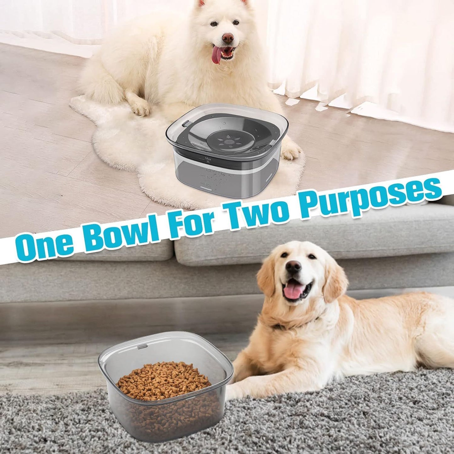 2L Pet Water Bowl - Clean Hydration For Your Pets