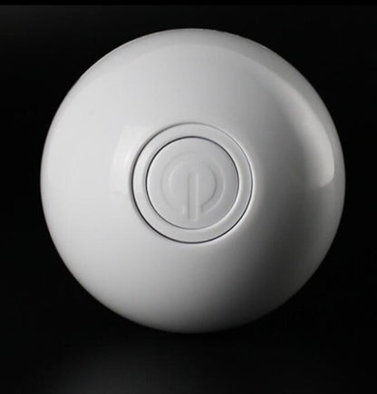 LED  Electronic Rolling Pet Ball