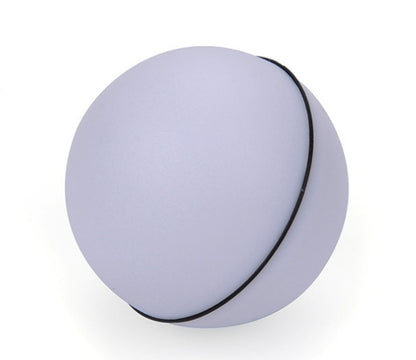 LED  Electronic Rolling Pet Ball