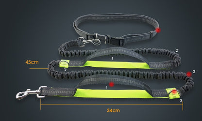 Hands-Free Dog Leash - Adjustable Waist Belt & Bungee Design