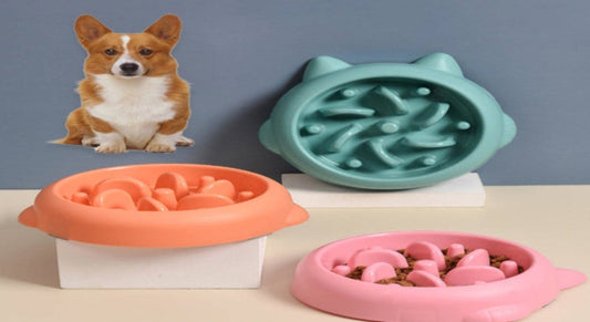 Anti-Choke Slow Feeder Pet Bowl