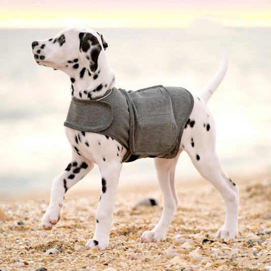 Pet Anxiety Vest