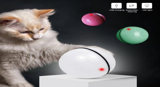 LED  Electronic Rolling Pet Ball